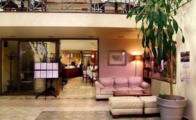 Hotel Witek