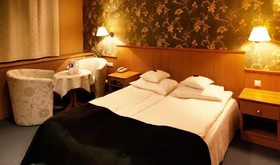 Hotel Witek