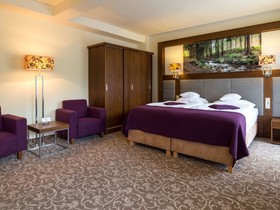 Mercure Krynica Zdrój Resort & SPA