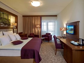 Mercure Krynica Zdrój Resort & SPA