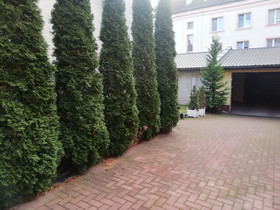 Apartamenty Alexa Old Town Kutno