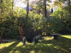 Dom Goscinny Leniuchy