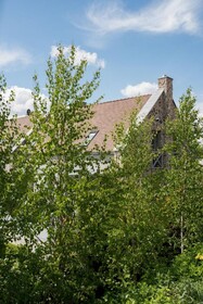 Villa Mila