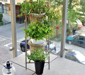 Apartamenty Homely Place