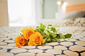 Apartamenty Homely Place