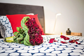 Apartamenty Homely Place