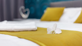 Apartamenty Homely Place