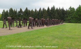 Apartamenty Homely Place Centrum