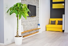 Apartamenty Homely Place Centrum