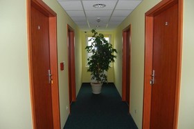 Bluszcz