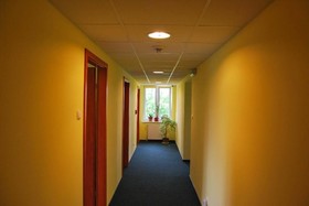 Bluszcz