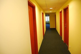 Bluszcz