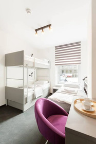 Cinema Hostel & Apartments