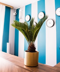 Elegant Hostel & Apartments