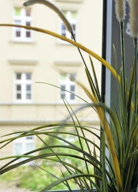 Explorer Hostel