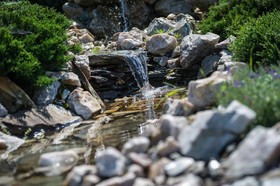 Bialy Dom Henlex Restauracja Hotel