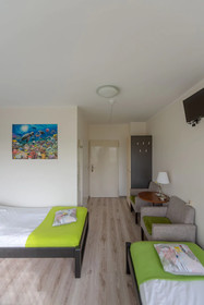 Hostel Puzzle - Alfa