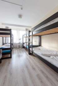 Hostel Puzzle - Alfa