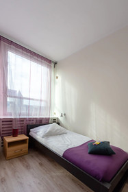 Hostel Puzzle - Alfa