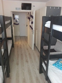 Hostel Puzzle - Alfa