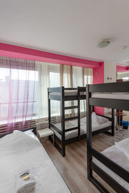 Hostel Puzzle - Alfa