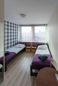 Hostel Puzzle - Alfa