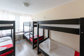 Hostel Puzzle - Alfa