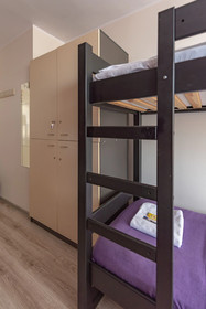 Hostel Puzzle - Alfa