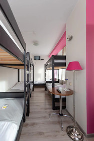 Hostel Puzzle - Alfa