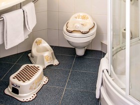 Hotel ibis Poznan Stare Miasto
