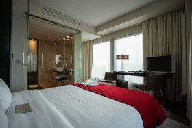 Andersia Hotel & Spa Poznan, a Member of Radisson Individuals