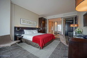 Andersia Hotel & Spa Poznan, a Member of Radisson Individuals