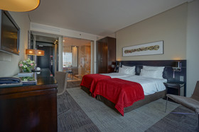 Andersia Hotel & Spa Poznan, a Member of Radisson Individuals