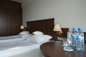 Best Western Hotel Edison