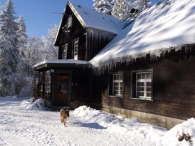 Apartamenty Willa Anna