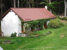 Rokosz