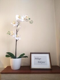 American House Willa Hennela