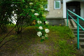 Apartament Karmelicka