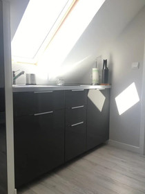 Apartament MnW