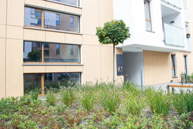 Apartamenty Jelonki