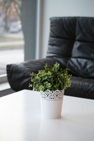 Arcus Premium Hostel