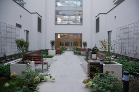 Executive Suites Apartamenty
