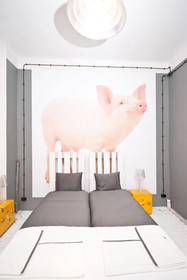 Lofthotel Sen Pszczoly