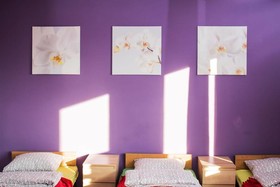 Marymont Hostel