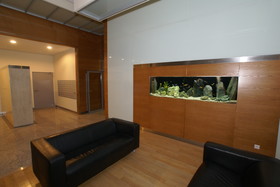 P&O Apartments Arkadia