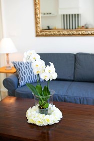 Stone Steps Apartments