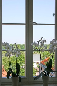 Stone Steps Apartments