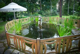 Ziola Polskie Miejsce Wydarzen