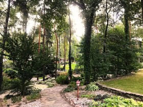 Ziola Polskie Miejsce Wydarzen