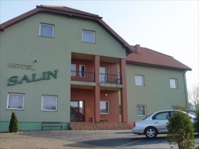 Salin